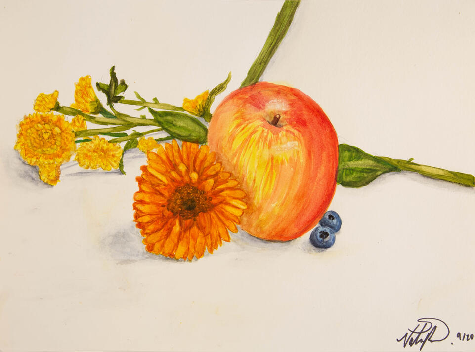 Manzanita, 2023, 15in by 11in, Watercolor