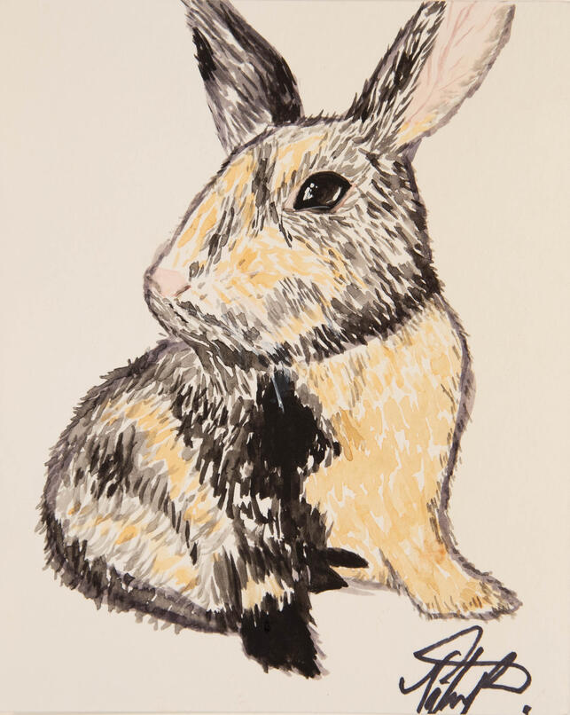 Clara, 2022, 5 x 6, Watercolor